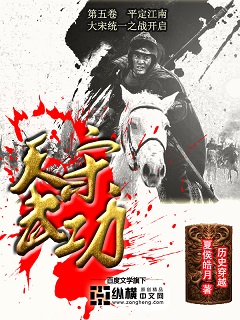 天屠龙记武功排名