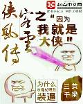 我是侠客踢馆