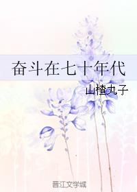 奋斗在七十年代末TxT