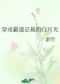 穿成霸总白月光 小说