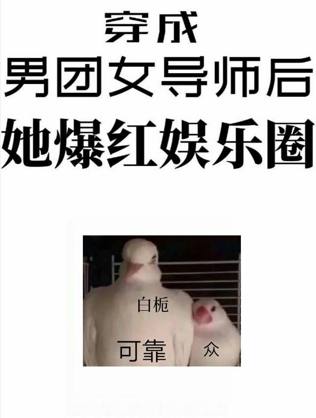 穿成男团选秀女导师后她爆红娱乐