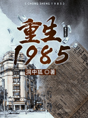 重生1985林凡免费阅读全文