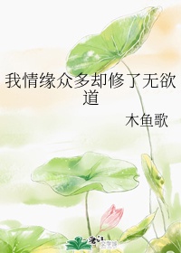 我情缘是什么意思