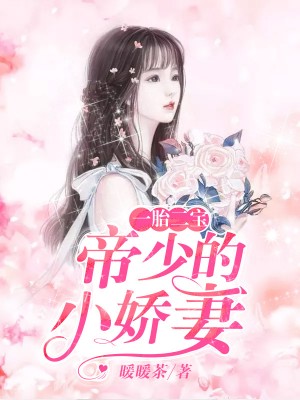 一婚二宝林羞寒蔺君未删版