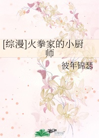 综漫火拳家的小厨师小说