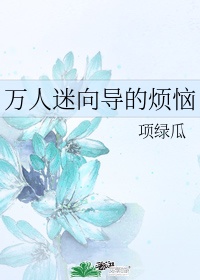 《万人迷向导的烦恼》 作者:项绿瓜