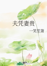 夫荣妻贵清越流歌免费全文UC