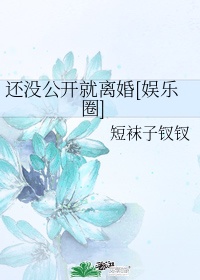 还没公开就离婚全文