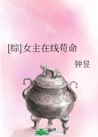 综女主美