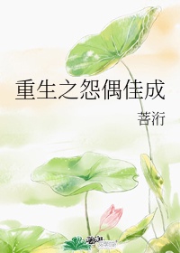 小说重生之怨偶