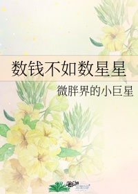 数钱不如数星星什么意思呀