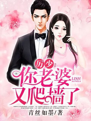 你老婆又想离婚了全文免费阅读小说