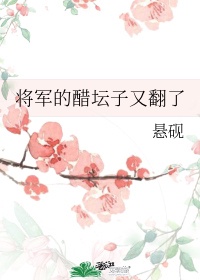 将军的醋坛子又翻了完整版