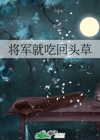 《将军就吃回头草》作者:微小的沙