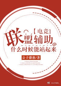 英雄联盟辅助zhuo