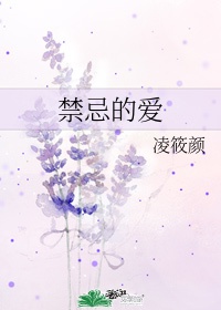 禁忌的爱 SNH48歌词