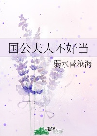 将军夫人不好当国公府