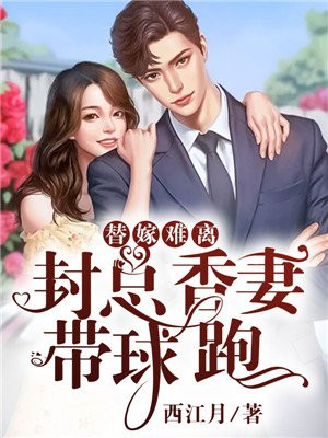 封总的未婚妻txt