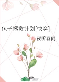 小说包子什么意思