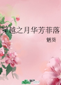 穿越芳华小说