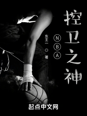 nba控卫传奇小说