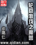 轮回魔兽公益服怎么样