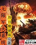 无限军火系统1-200集免费