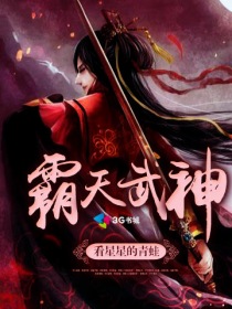 霸天武神有声小说